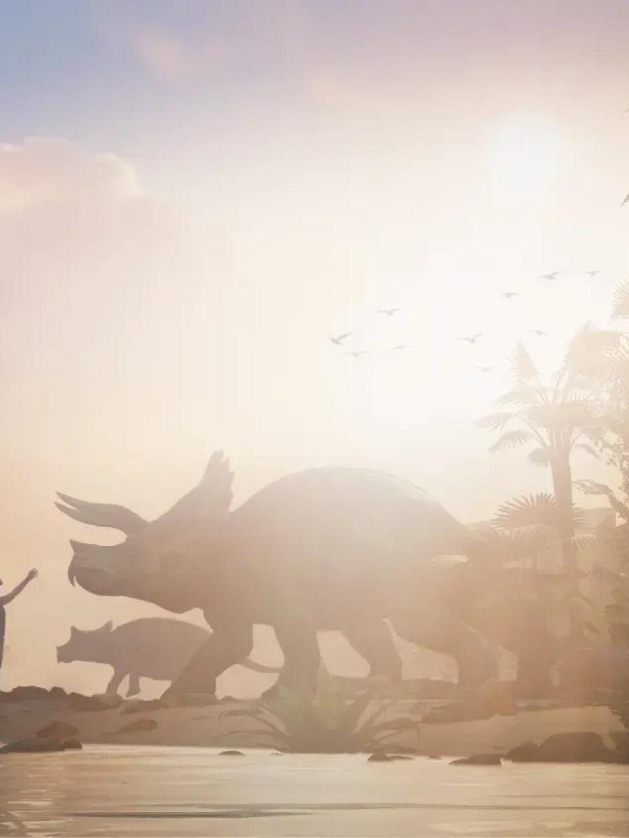 Life Chronicles (Lyon) Immersive Event - Main Image