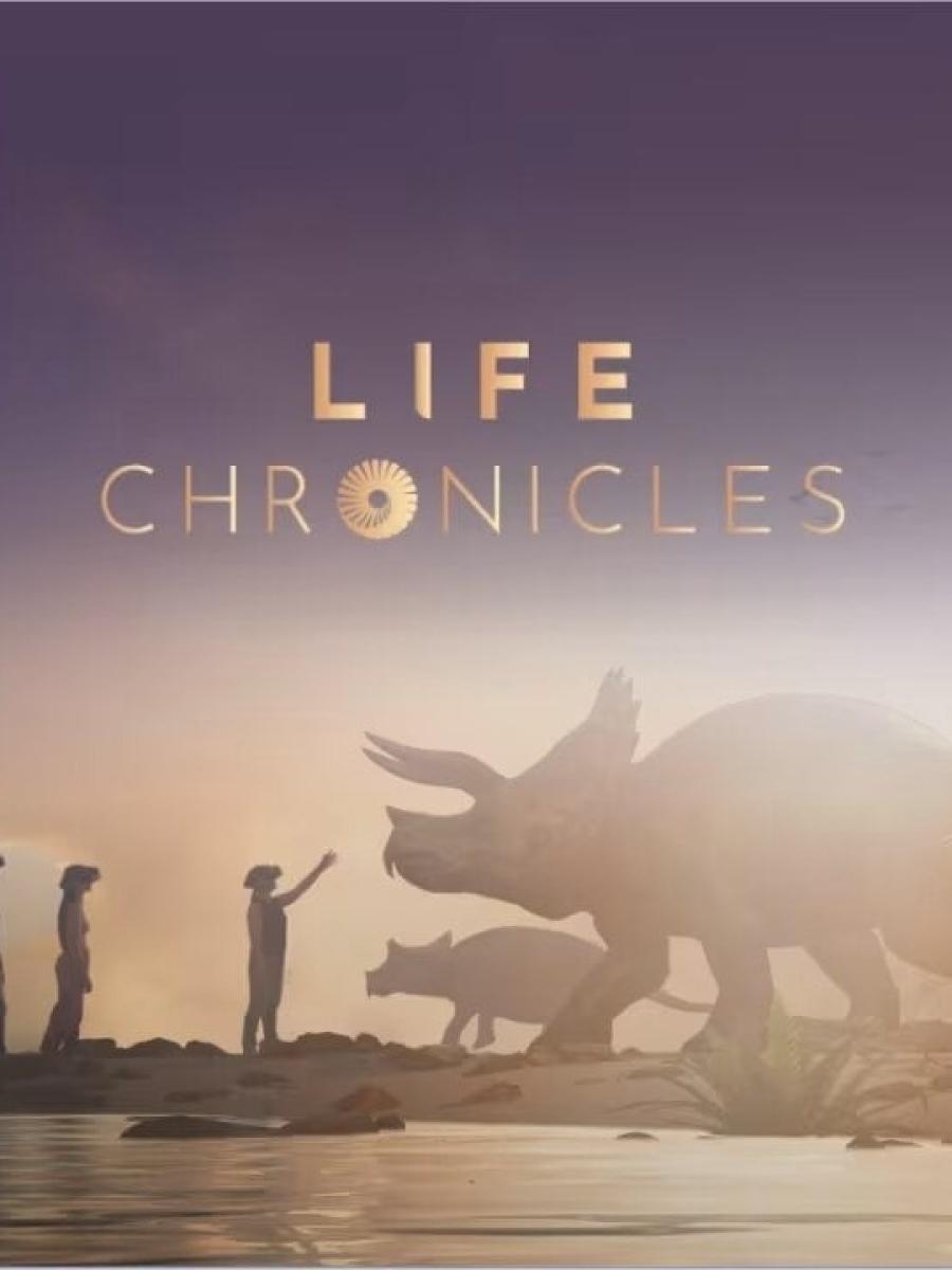 Life Chronicles (NYC) Immersive Event - Main Image