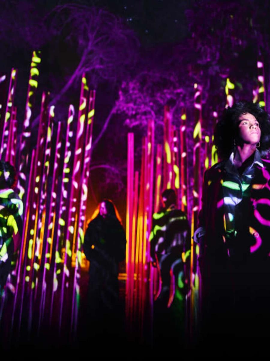 Light Cycles (CDMX) (2026) Immersive Event - Main Image