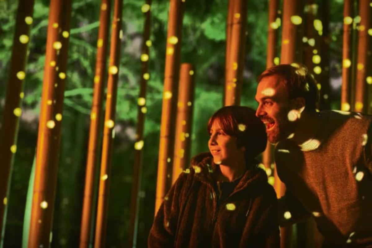 Light Cycles (CDMX) (2026) Immersive Event - Image 2