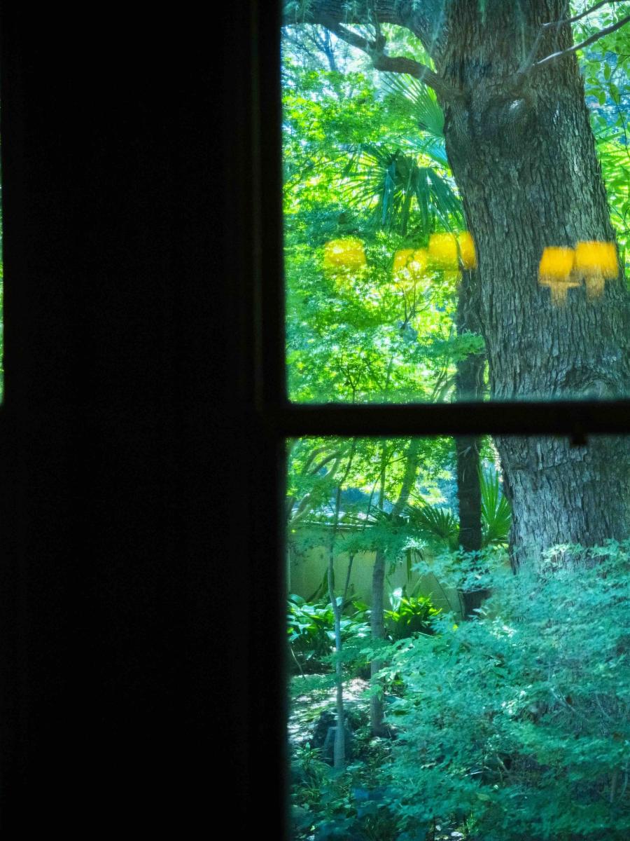 LONGING ─ Tokyo Immersive Dining Immersive Event - Main Image