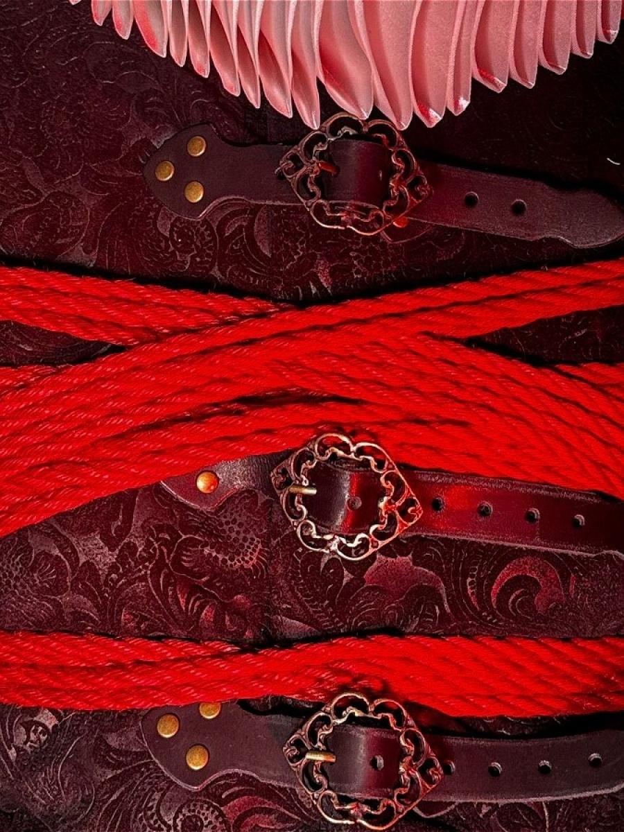 Love, Shakespeare and Rope Immersive Event - Main Image