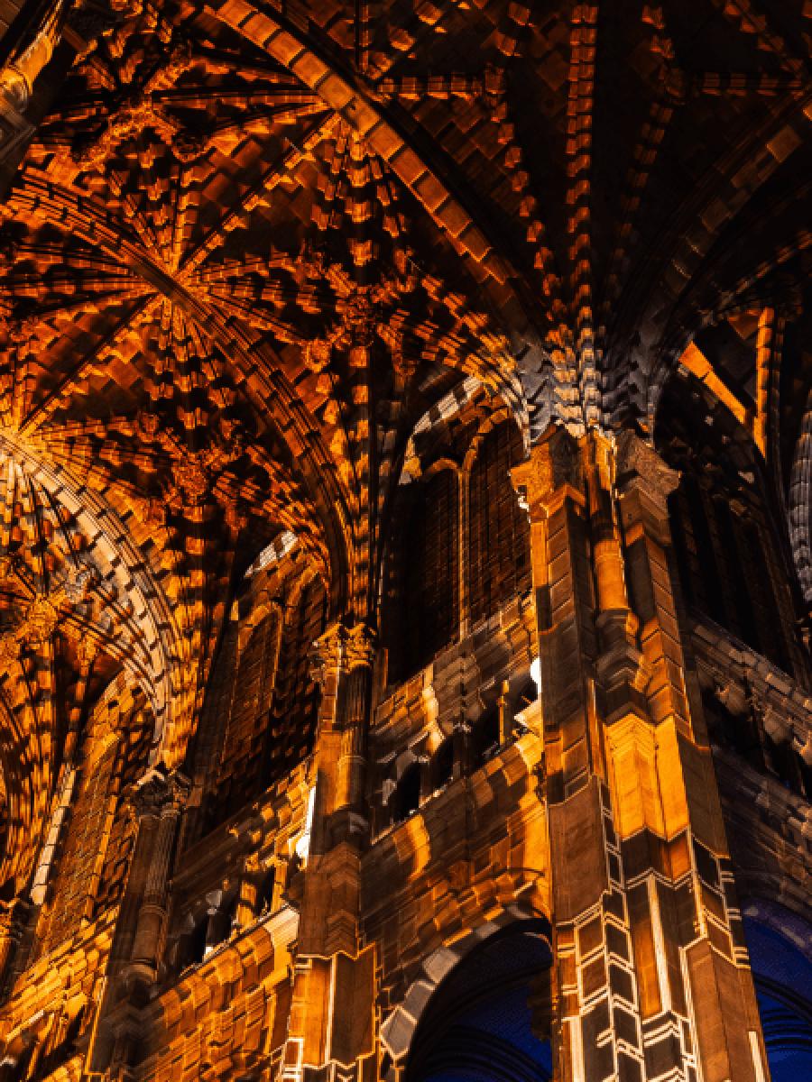 LUMINISCENCE (Lyon) Immersive Event - Main Image
