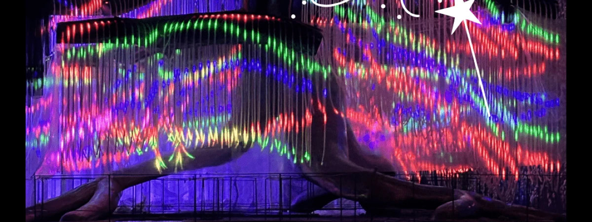 Magic of the Willow Immersive Event - Main Image
