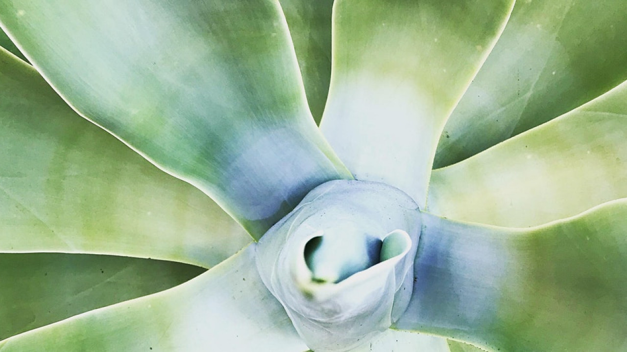 Narrative and Experience Design Workshop - Remote Immersive Event - Main Image