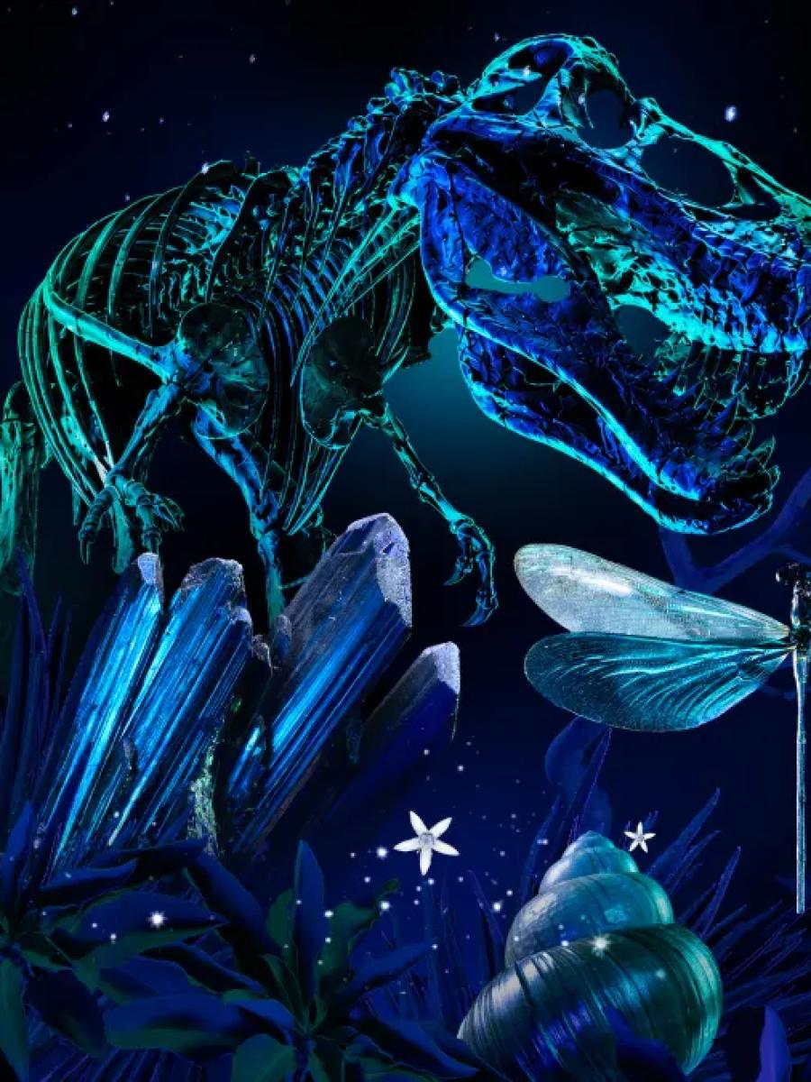 NightTales Immersive Event - Main Image