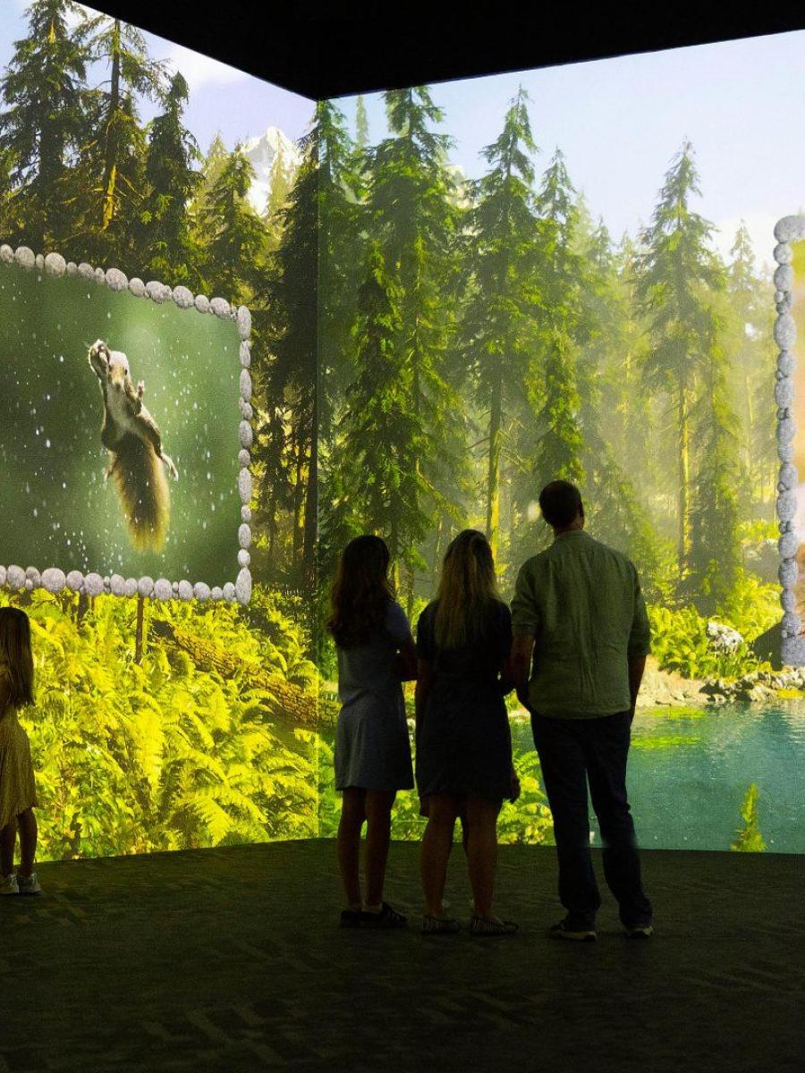 Nikon Comedy Wildlife Awards Immersive Experience Immersive Event - Main Image