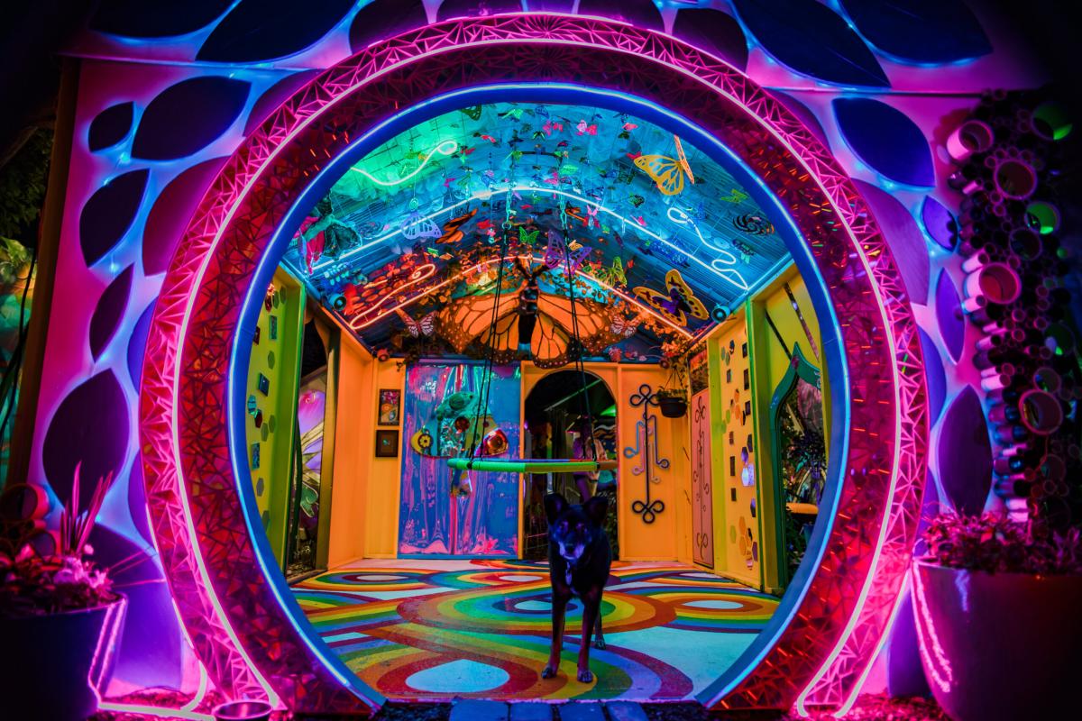 Novo Ita: Emergence Immersive Event - Image 2