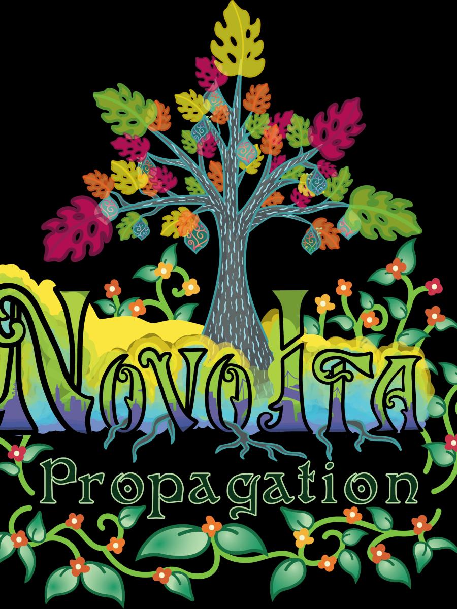 Novo Ita: Propagation (2025) Immersive Event - Main Image