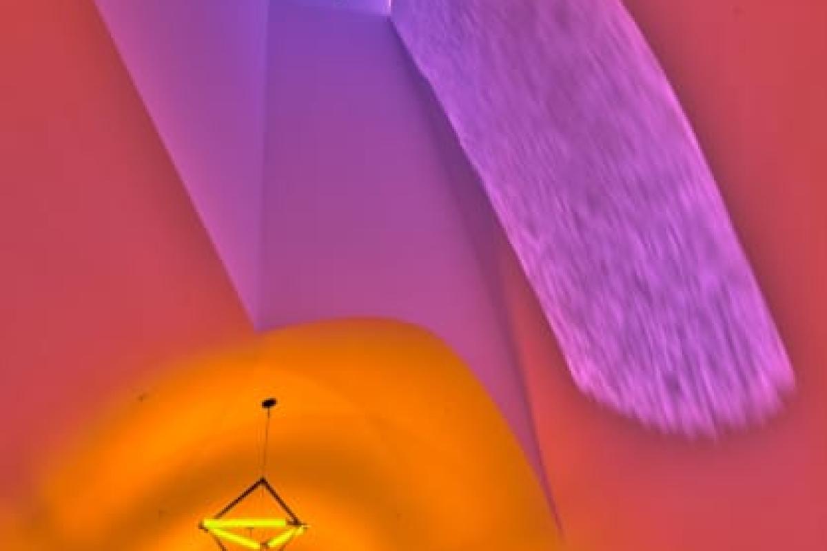 Olafur Eliasson: Sometimes an underground movement is an illuminated bridge Immersive Event - Image 2