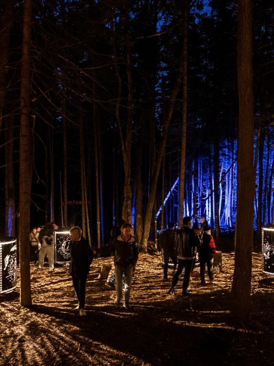 Onhwa' Lumina Immersive Event - Main Image