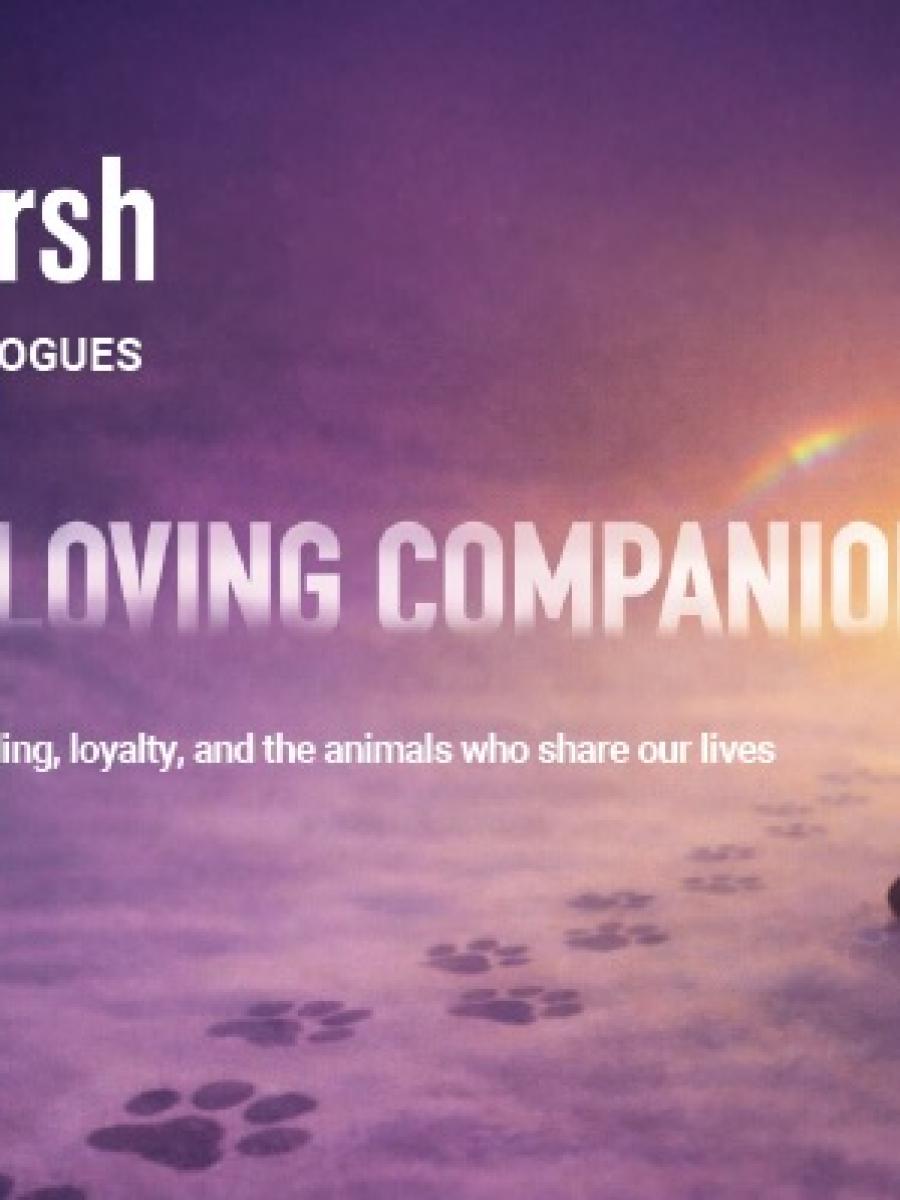 Our Loving Companions (San Francisco) Immersive Event - Main Image