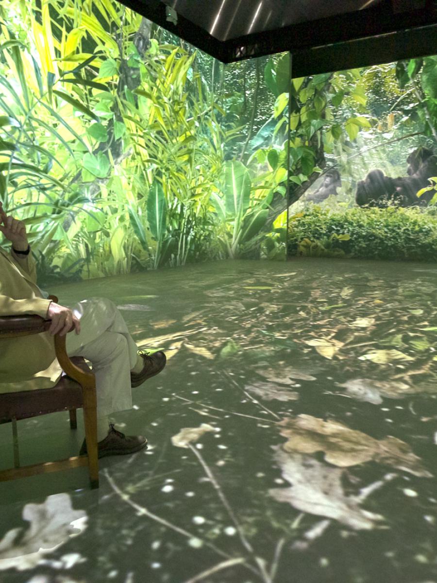 Our Story with David Attenborough (Chester) Immersive Event - Main Image