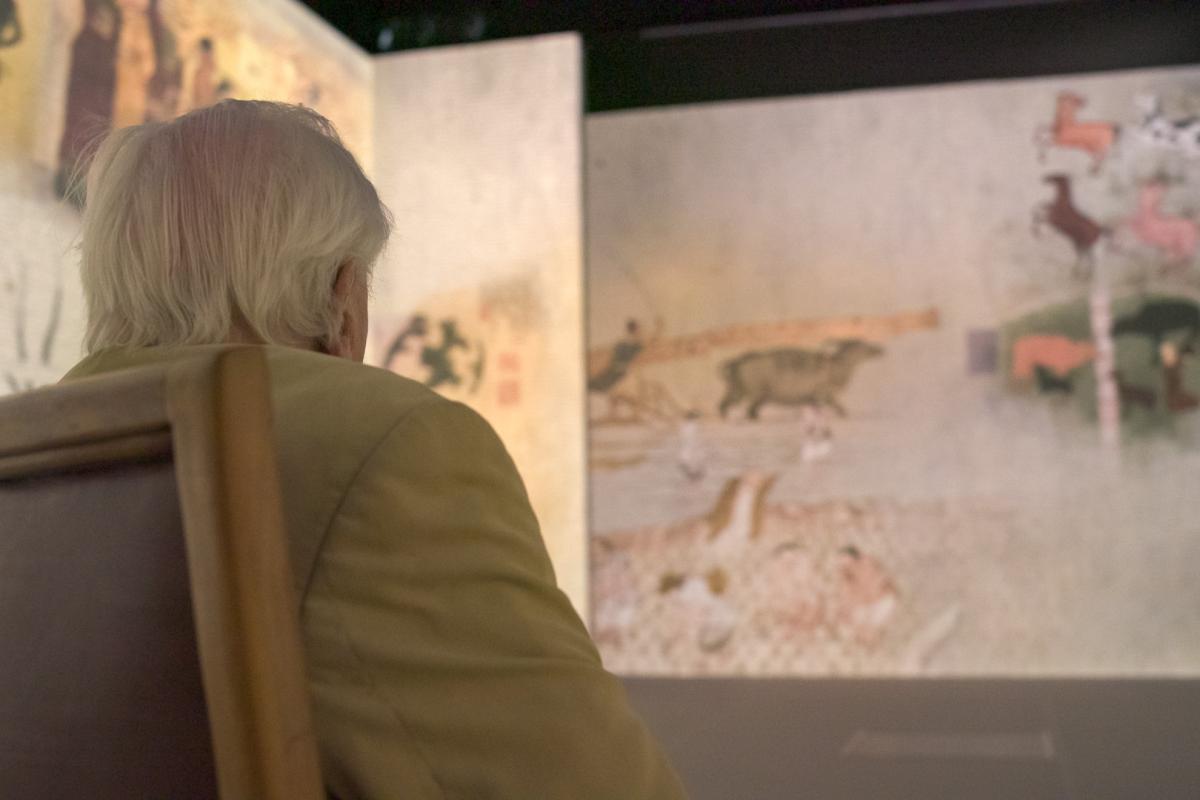 Our Story with David Attenborough (Chester) Immersive Event - Image 2