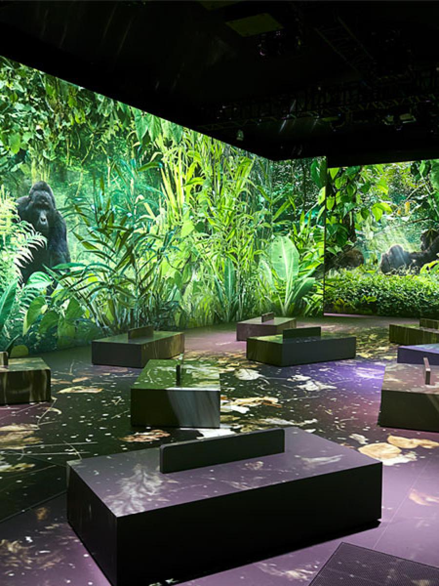 Our Story with David Attenborough (Natural History Museum) Immersive Event - Main Image