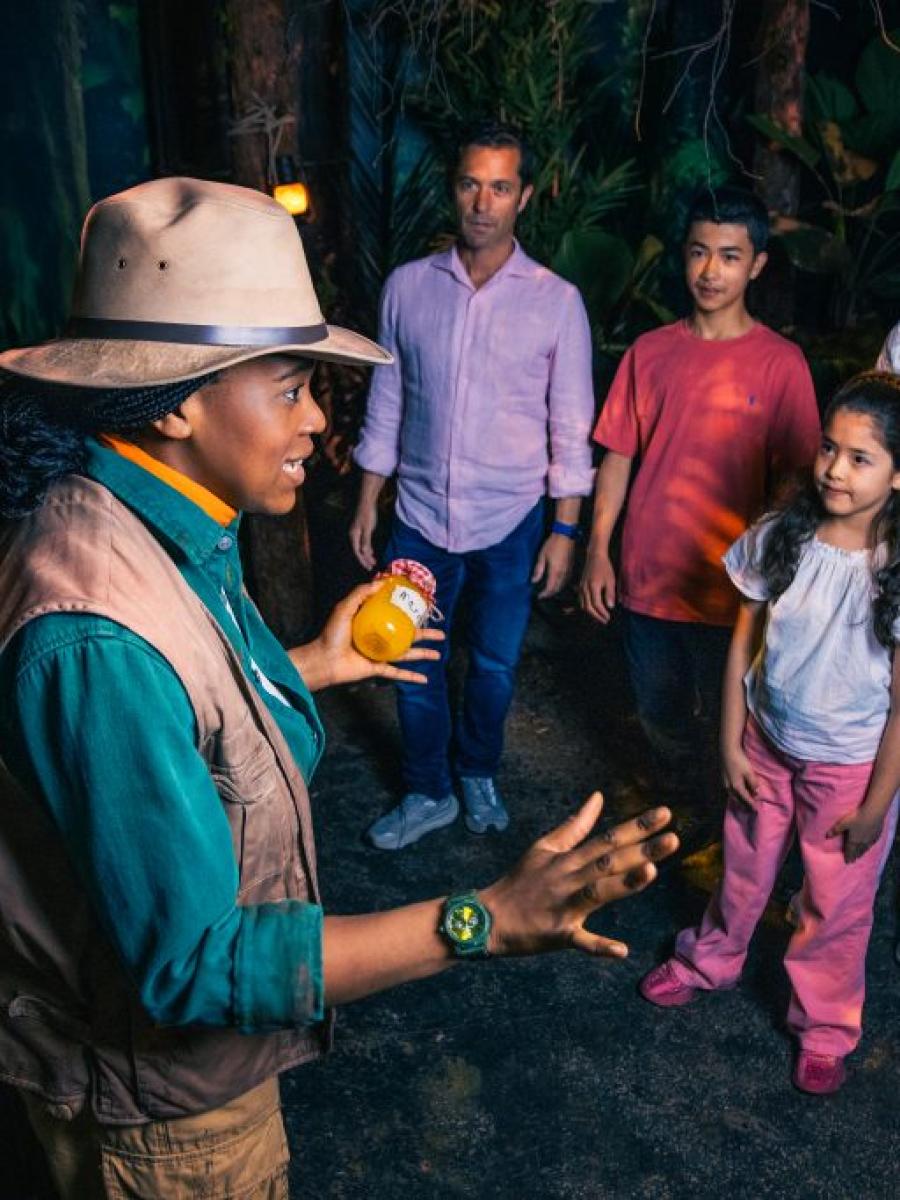 Paddington Bear Experience Immersive Event - Main Image