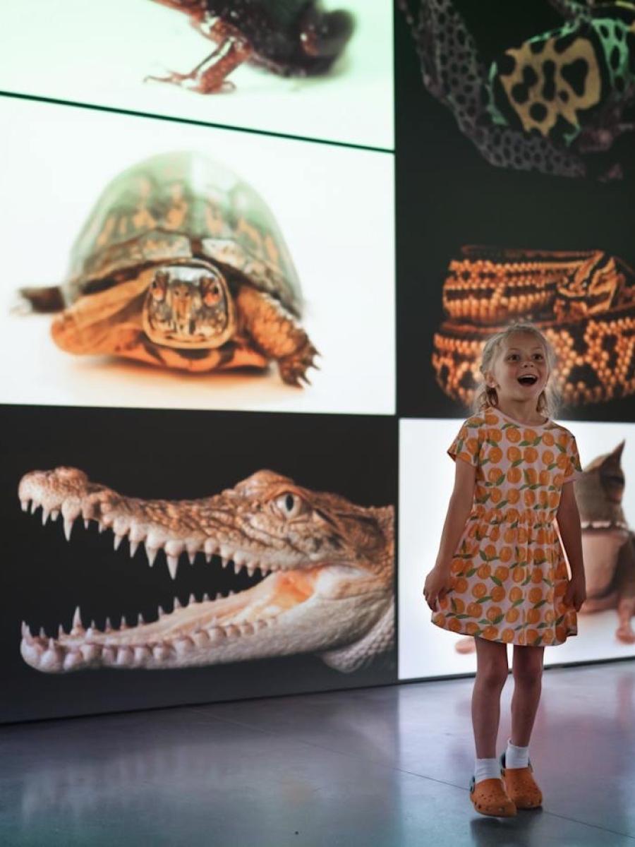 Photo Ark: Animals of Earth Immersive Event - Main Image