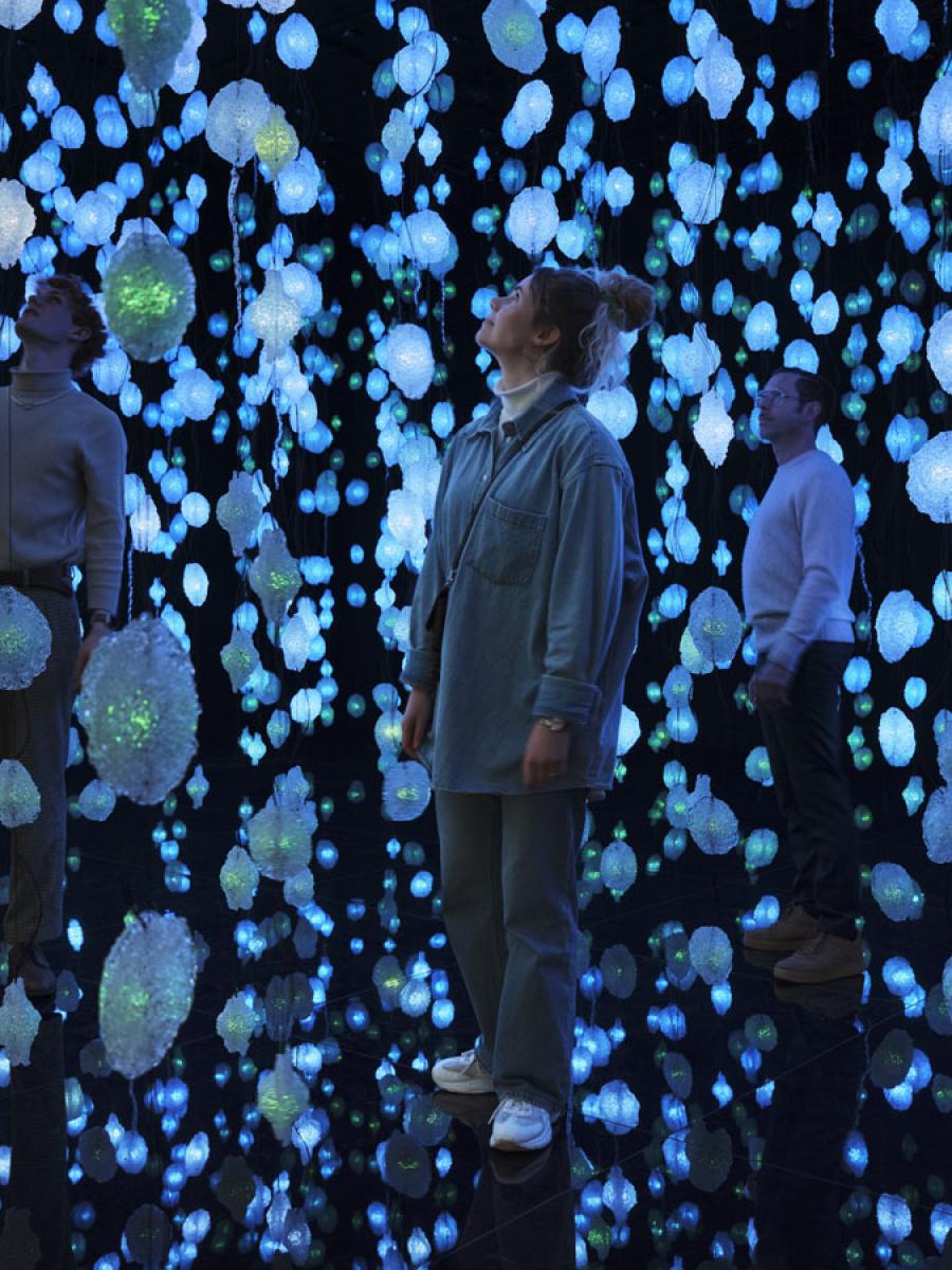 Pipilotti Rist: Pixel Forest Wisera Immersive Event - Main Image