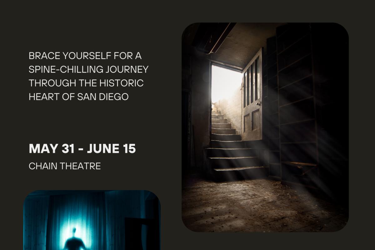 Point Loma Immersive Event - Image 2