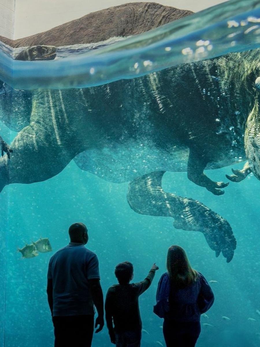 Prehistoric Planet: Discovering Dinosaurs Immersive Event - Main Image