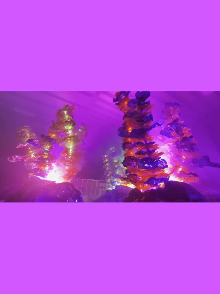 Radiant Echoes Immersive Event - Main Image