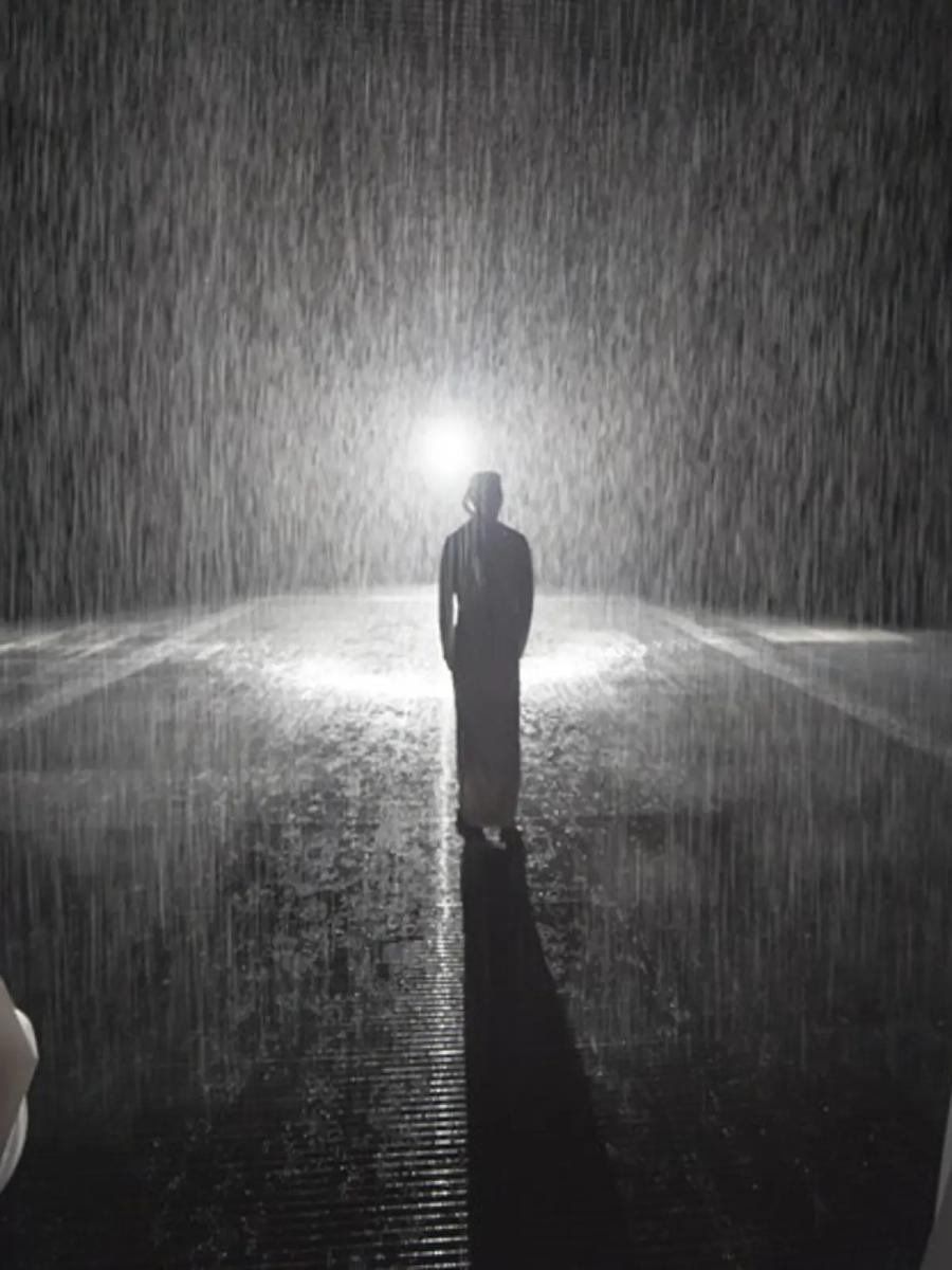 Random International: Rain Room Immersive Event - Main Image