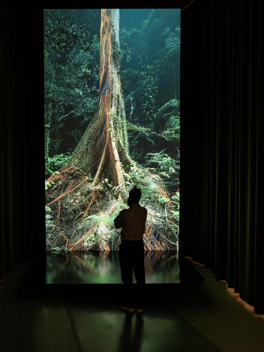 Sanctuary of the Unseen Forest Immersive Event - Main Image