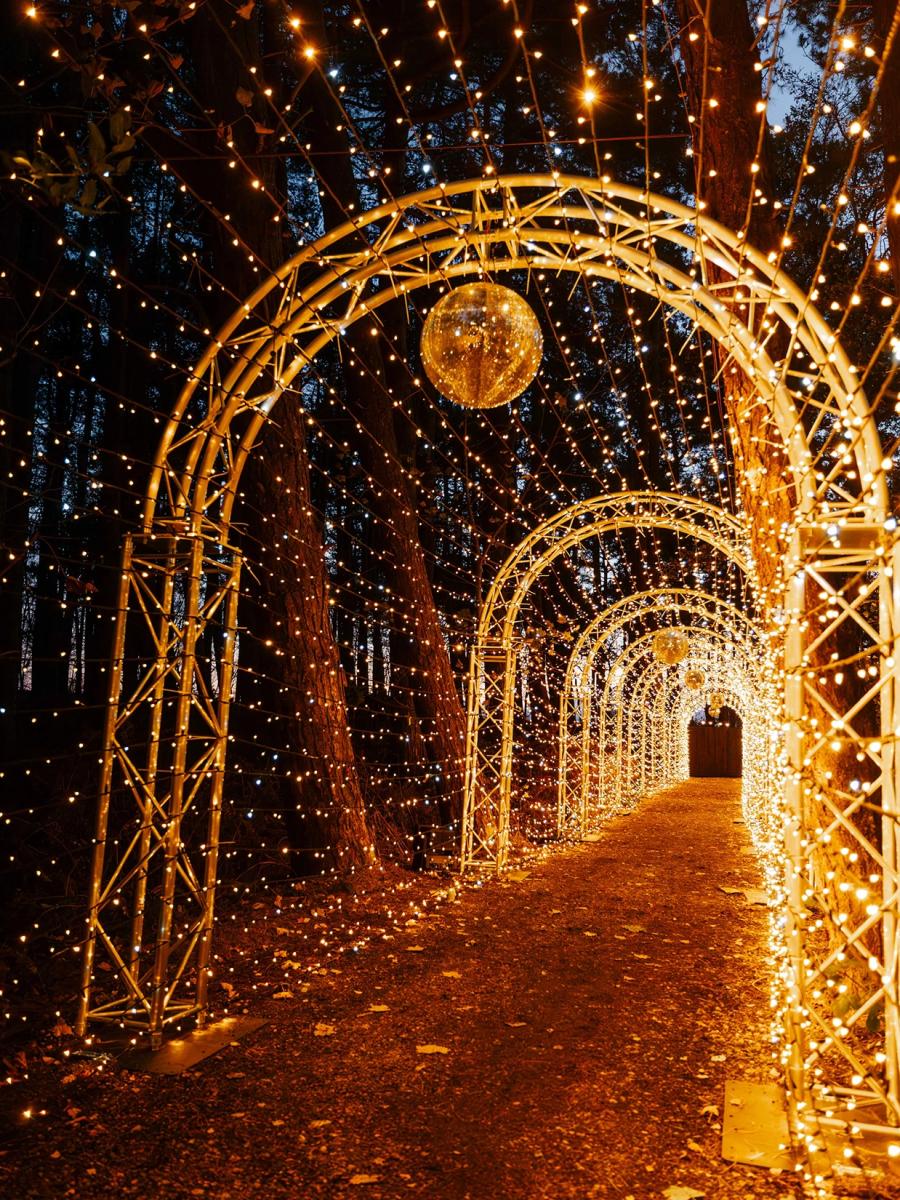 Santa's Secret Forest (2026) Immersive Event - Main Image