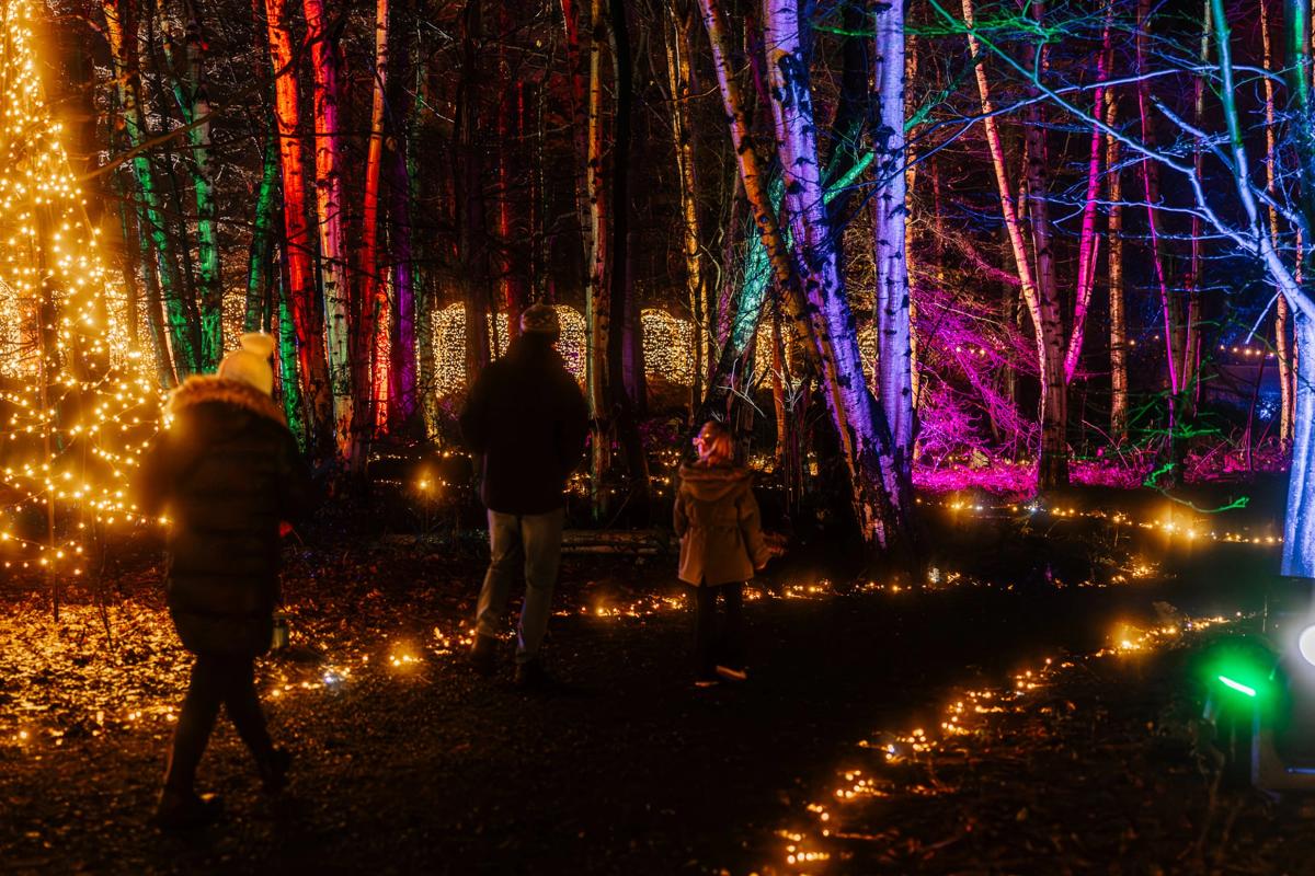 Santa's Secret Forest (2026) Immersive Event - Image 2