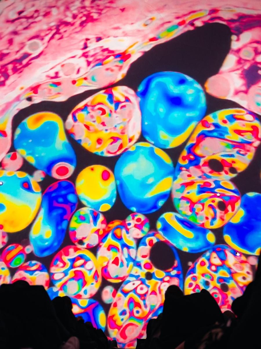 SAT FEST 2026 Immersive Event - Main Image