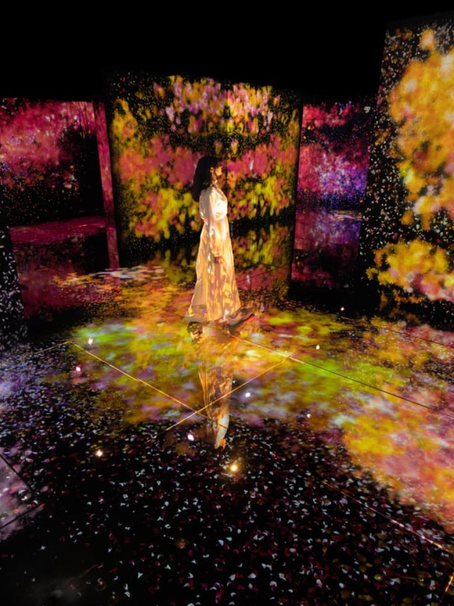 Second Nature Immersive Event - Main Image