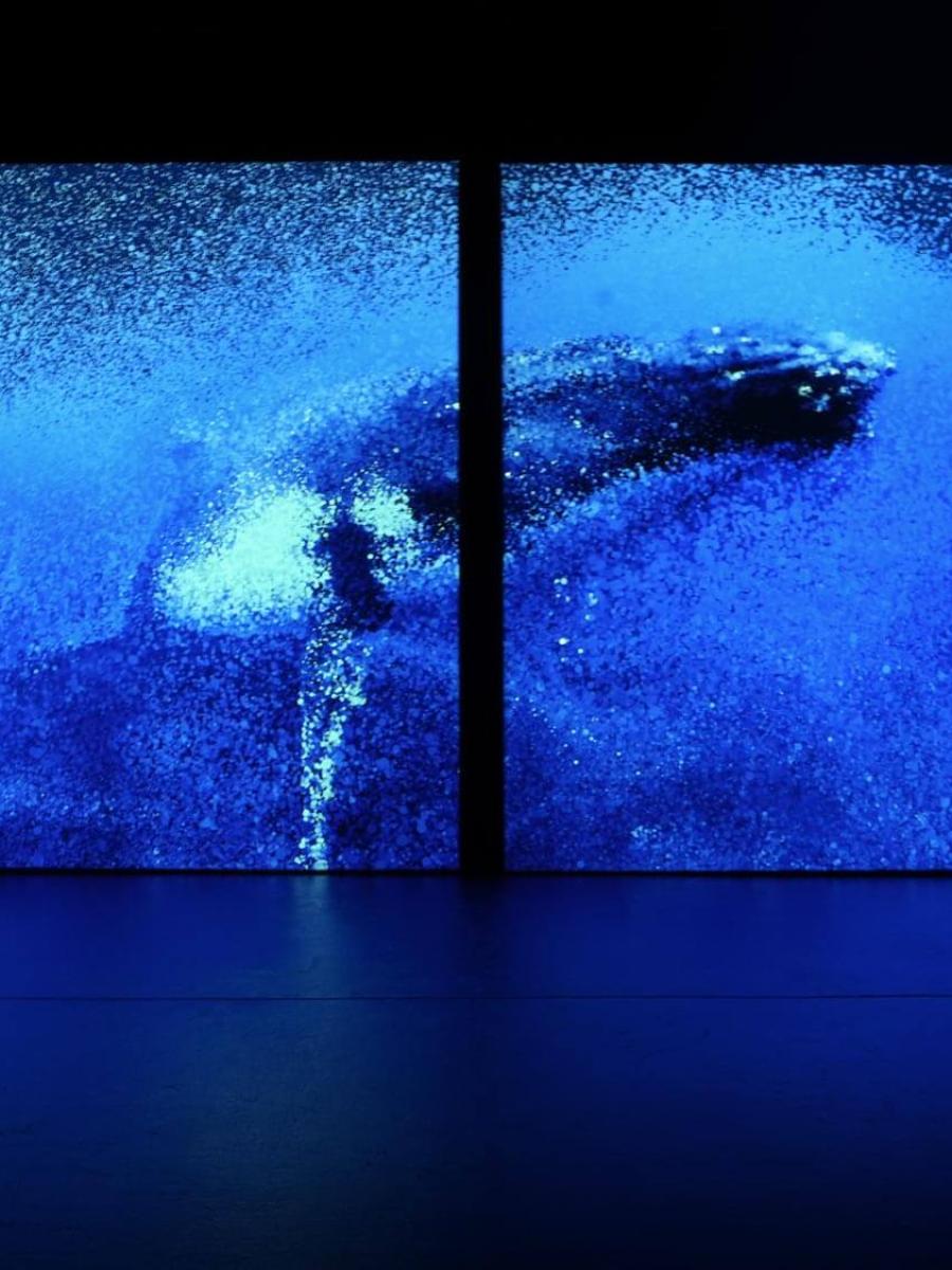 Sensing Oceans Immersive Event - Main Image