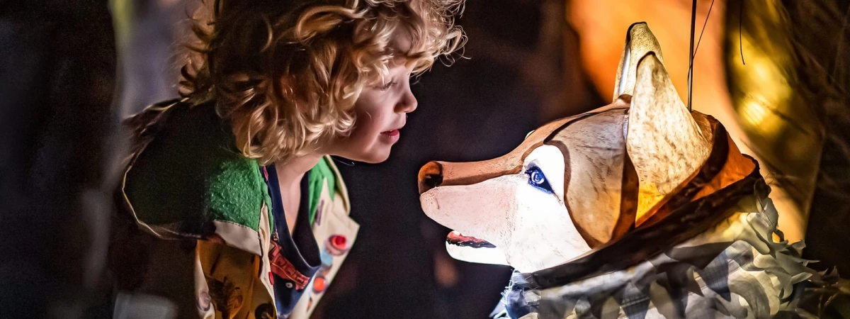 Solstice Immersive Event - Main Image