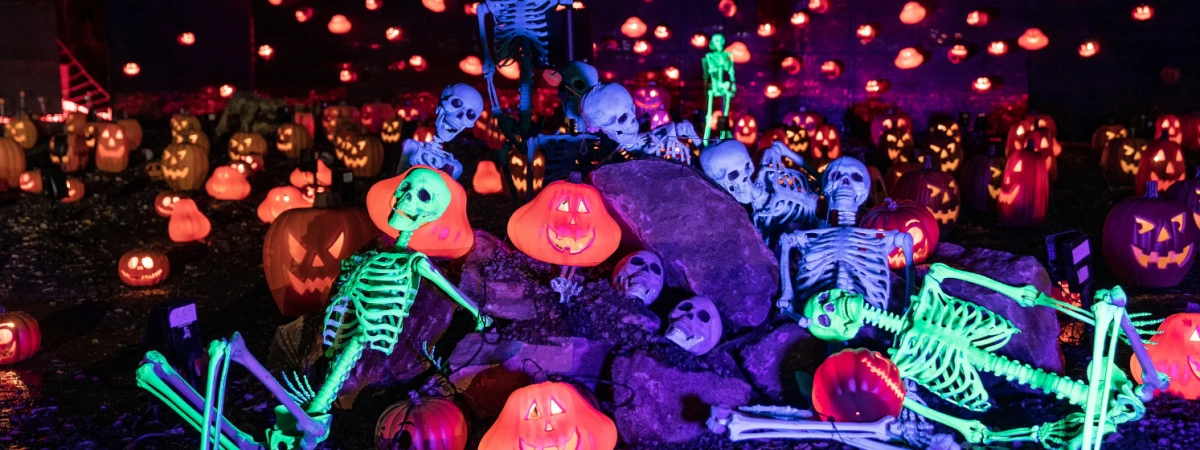 SPOOKY AT ILLUMI Immersive Event - Main Image