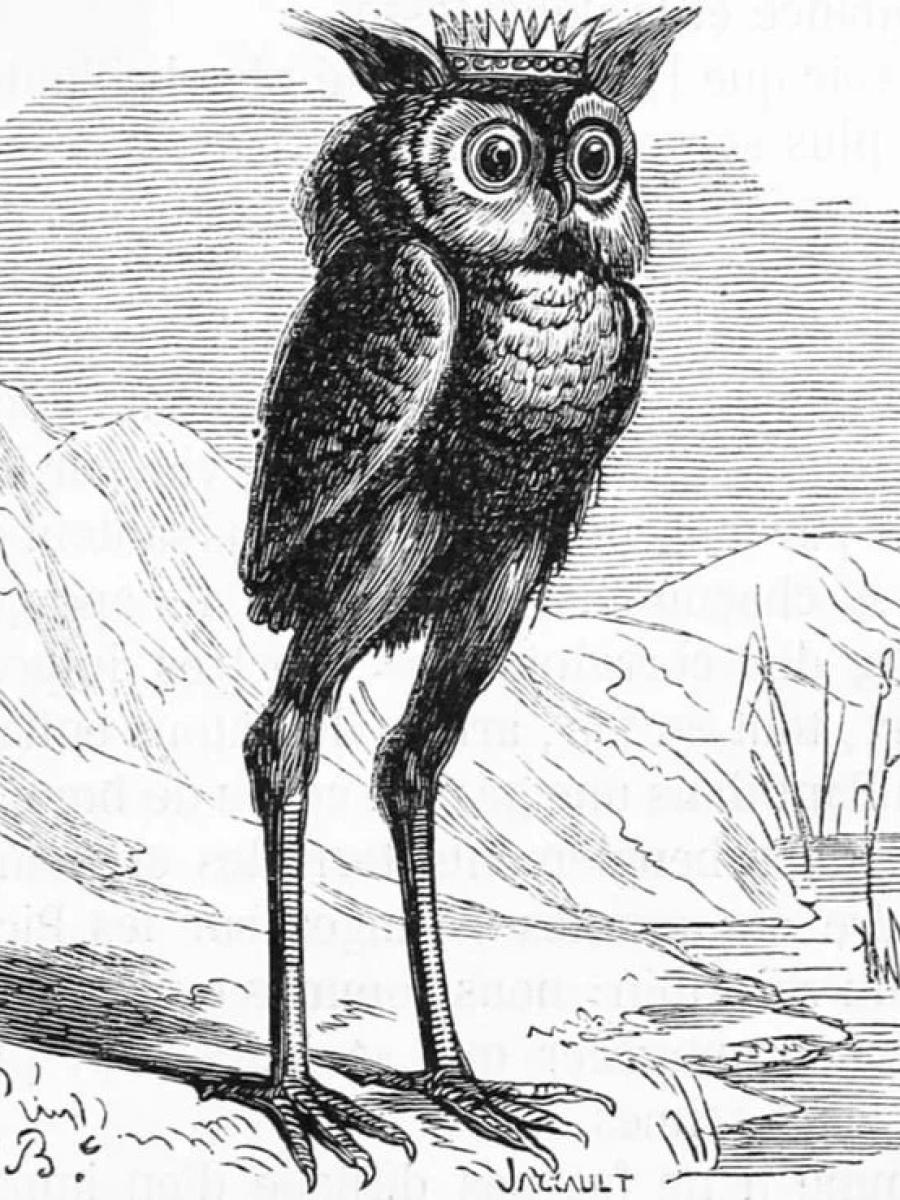 S(t)OLAS Immersive Event - Main Image