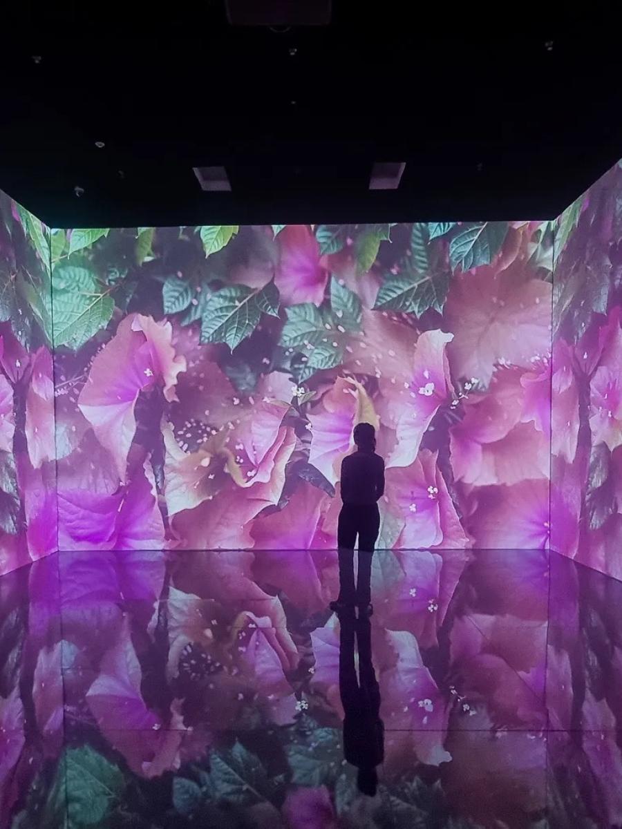 Superradiance Immersive Event - Main Image