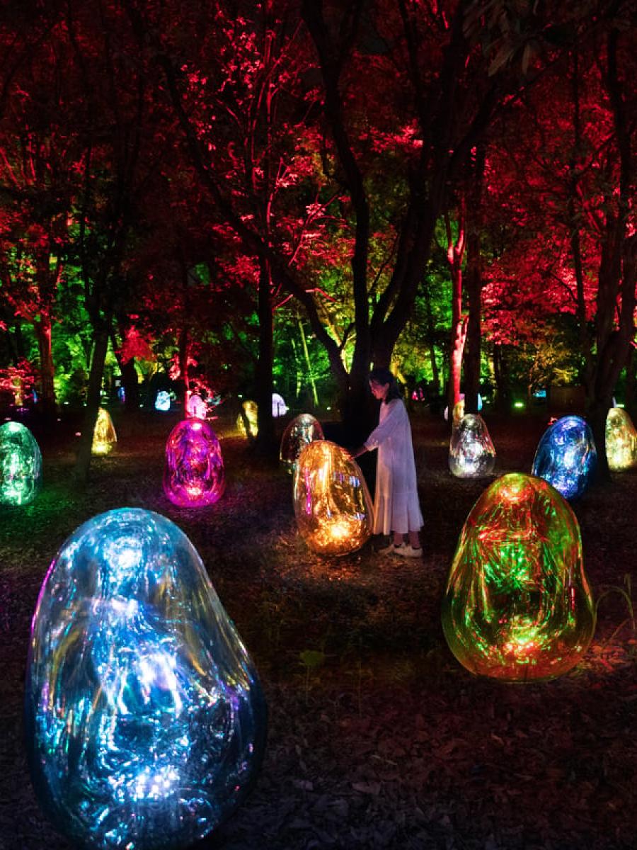 teamLab Botanical Garden Osaka Immersive Event - Main Image