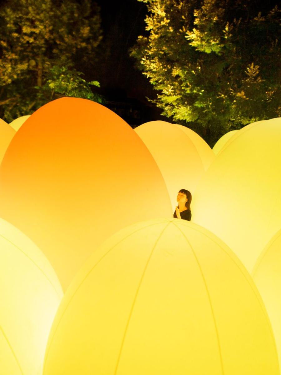 teamLab: Digitized Fukuoka Castle Ruins Immersive Event - Main Image
