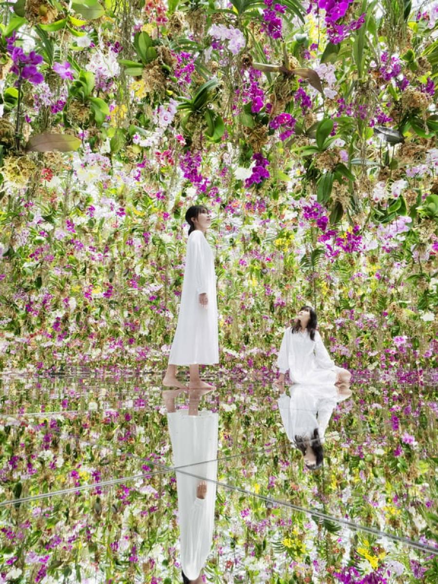 teamLab Planets TOKYO Immersive Event - Main Image
