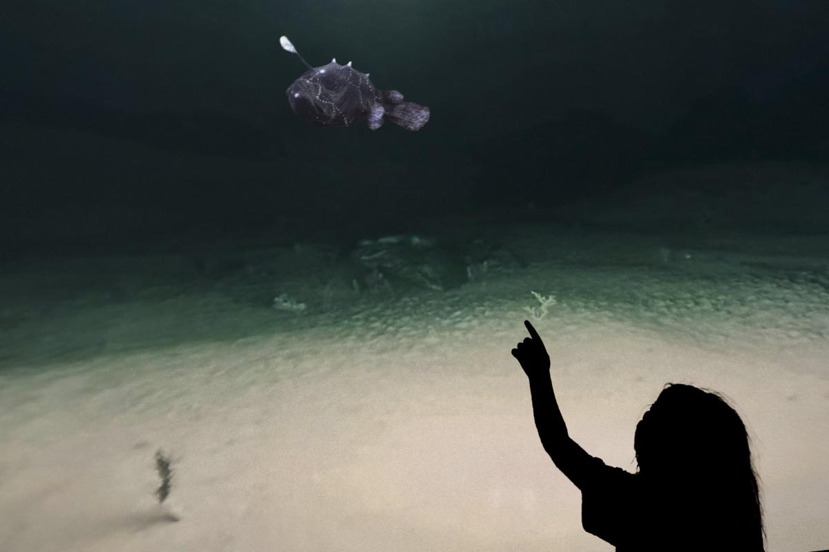 The Changing Ocean Immersive Event - Image 2