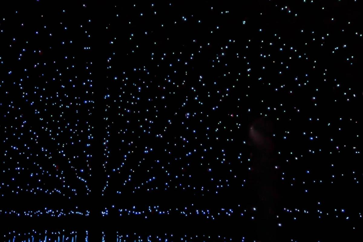 The Dark Immersive Event - Image 2