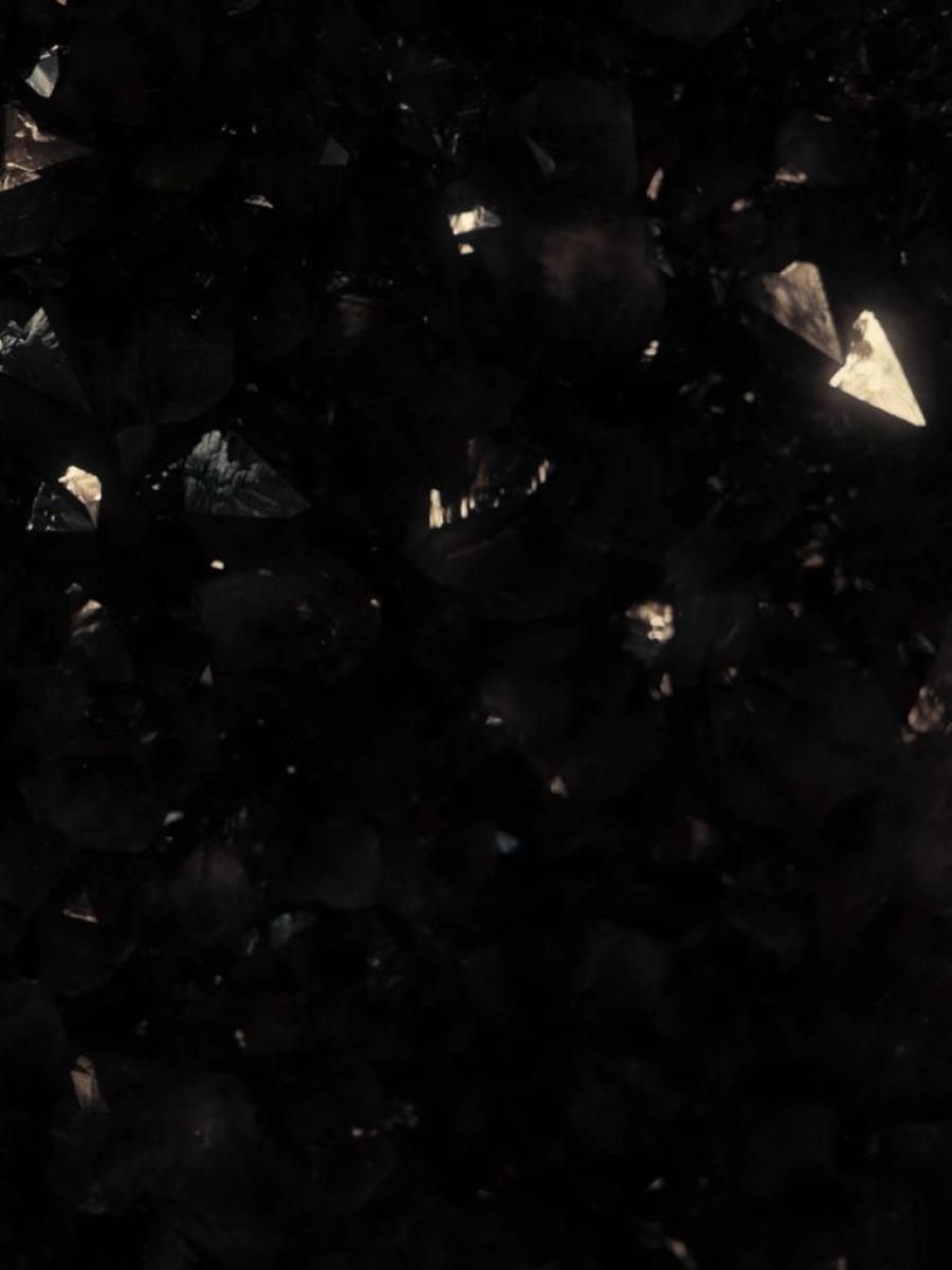 The Dark (Powerhouse Parramatta) Immersive Event - Main Image