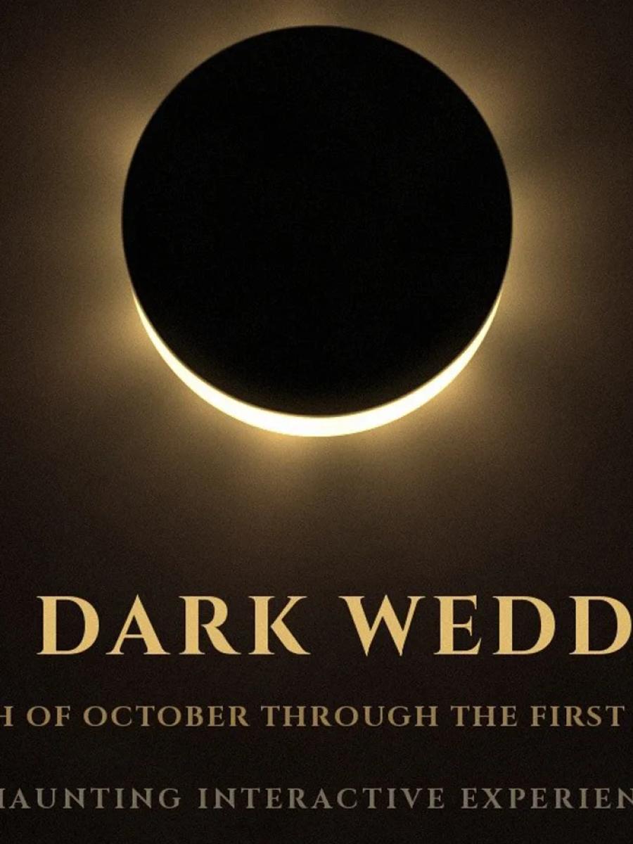 The Dark Wedding Immersive Event - Main Image