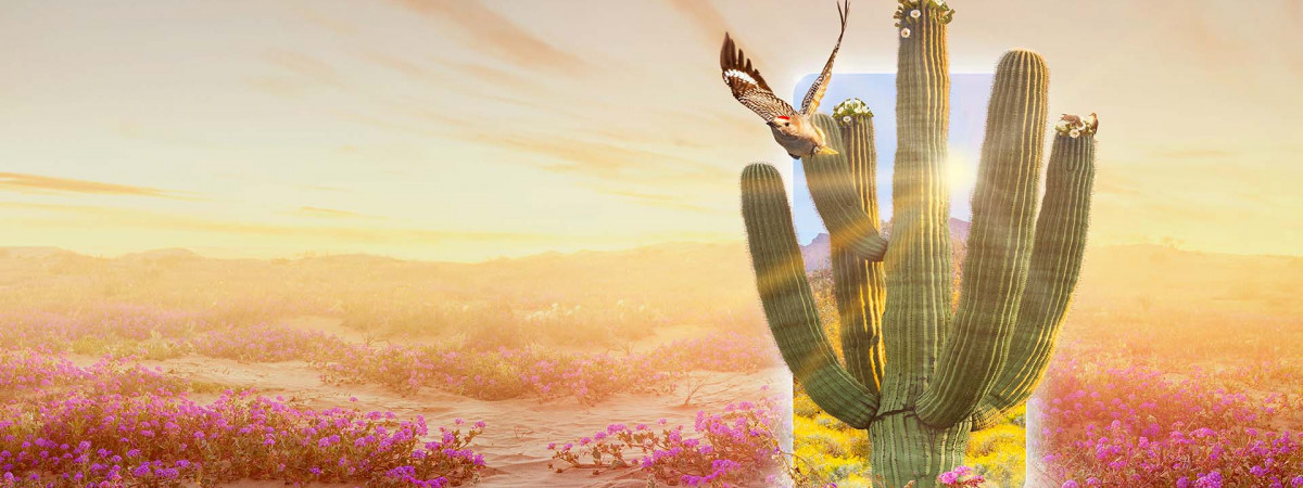 The Green Planet AR Experience, Powered by EE 5G Immersive Event - Main Image