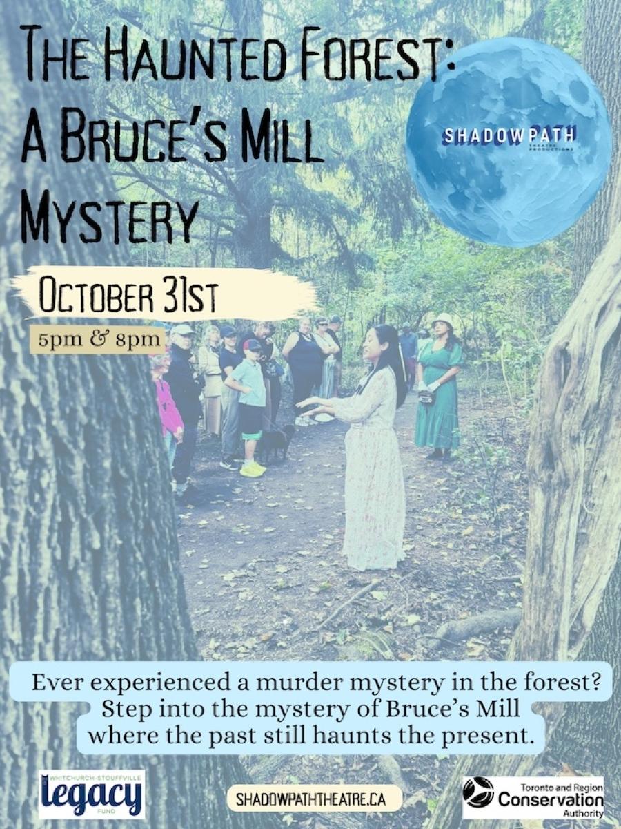 The Haunted Forest - A Bruce's Mill Mystery Immersive Event - Main Image