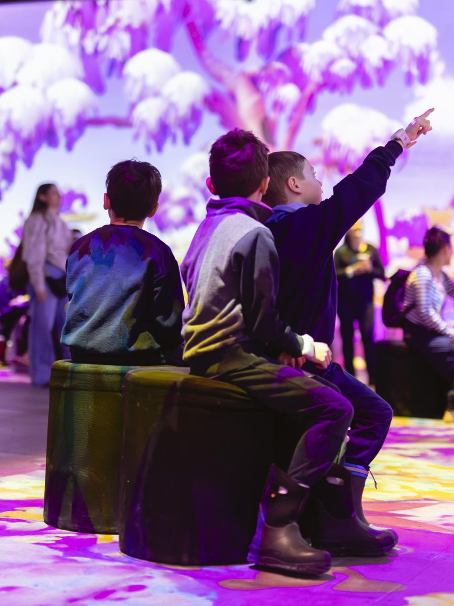 The Immersive Carnival of the Animals Immersive Event - Main Image