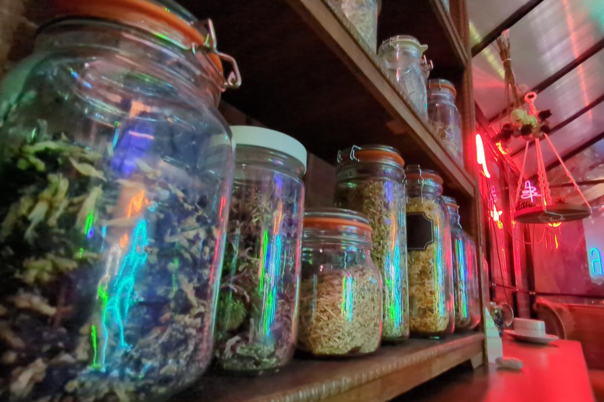 The Maiden Crone Immersive Event - Image 2