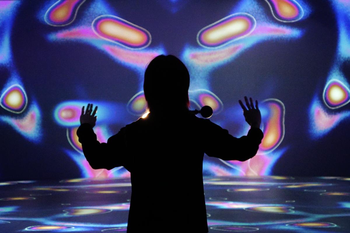 The Music Center Presents Life in Motion Immersive Event - Image 2