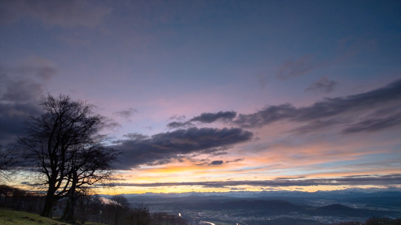 The Storm Shepherd Immersive Event - Main Image