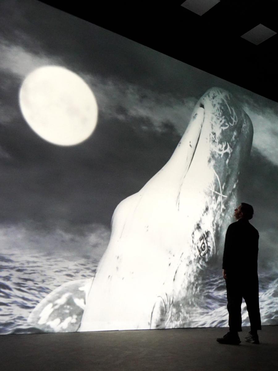 The Whale Immersive Event - Main Image